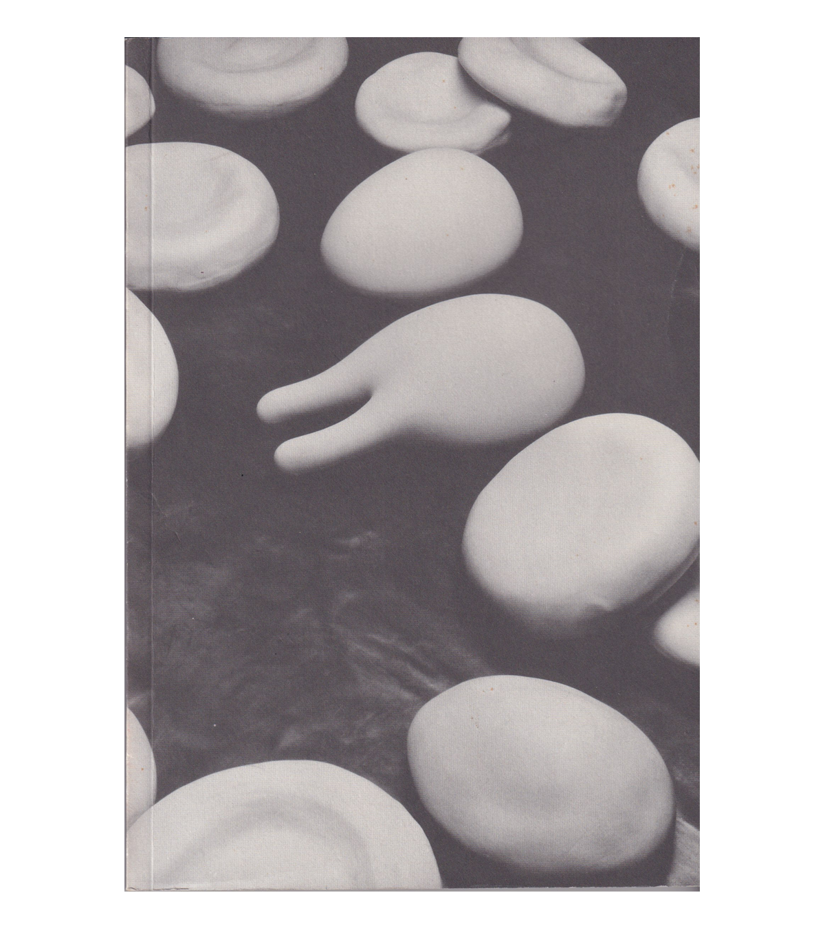 The Body (Renaissance Society, 1991)