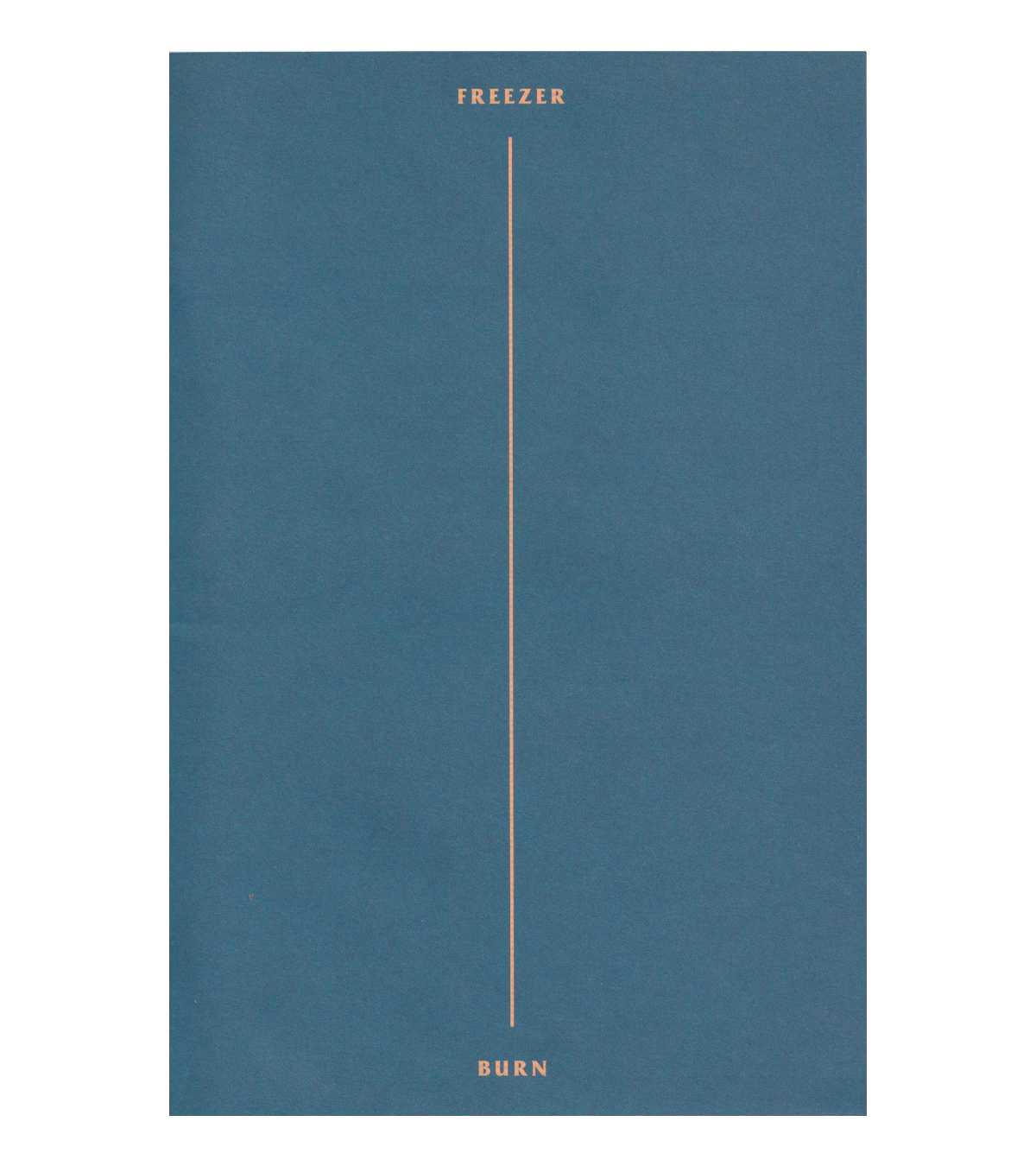 Freezer Burn (Hauser and Wirth, 2014)