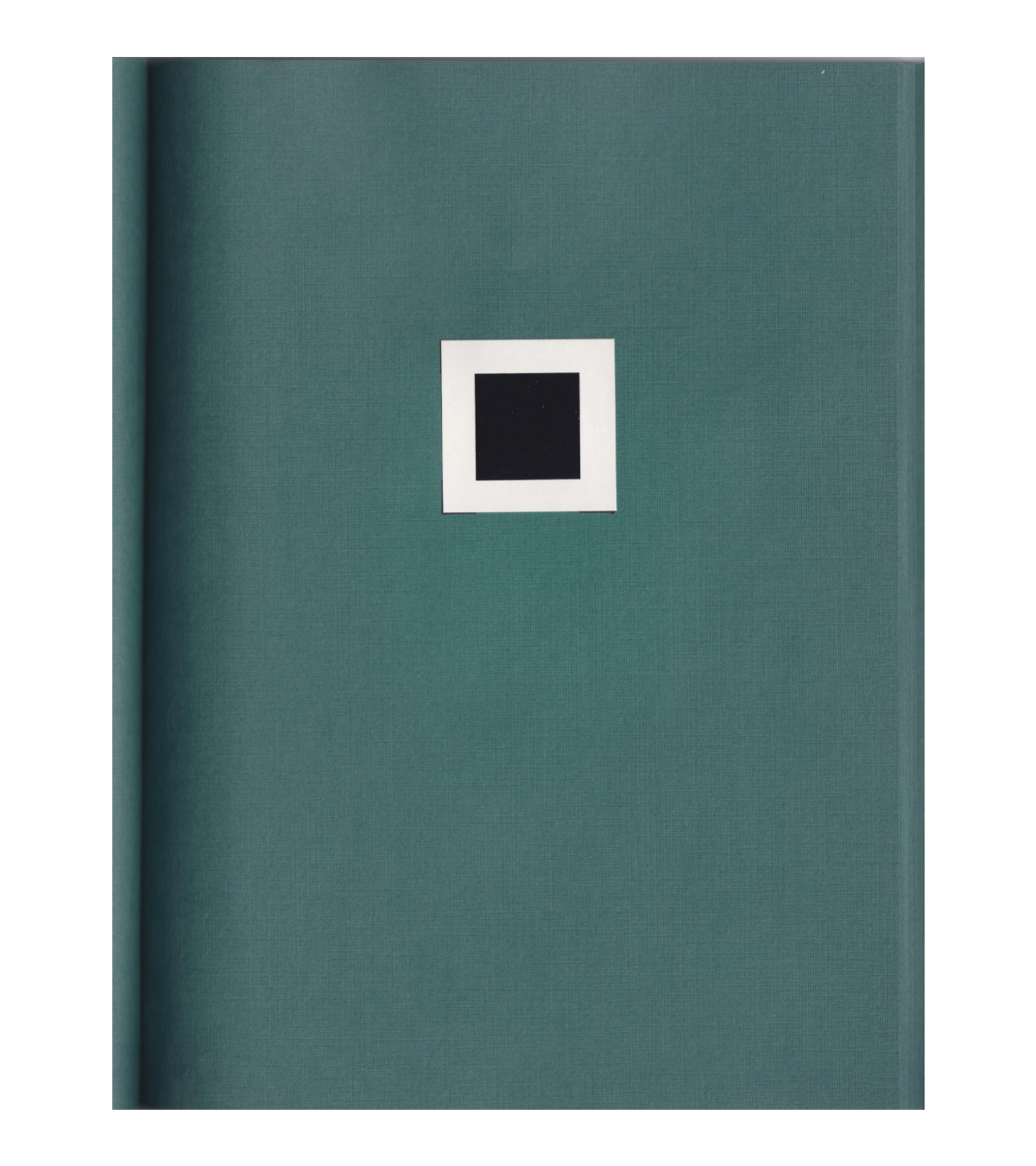 Stephen Prina: Monochrome Painting (Renaissance Society, 1989)