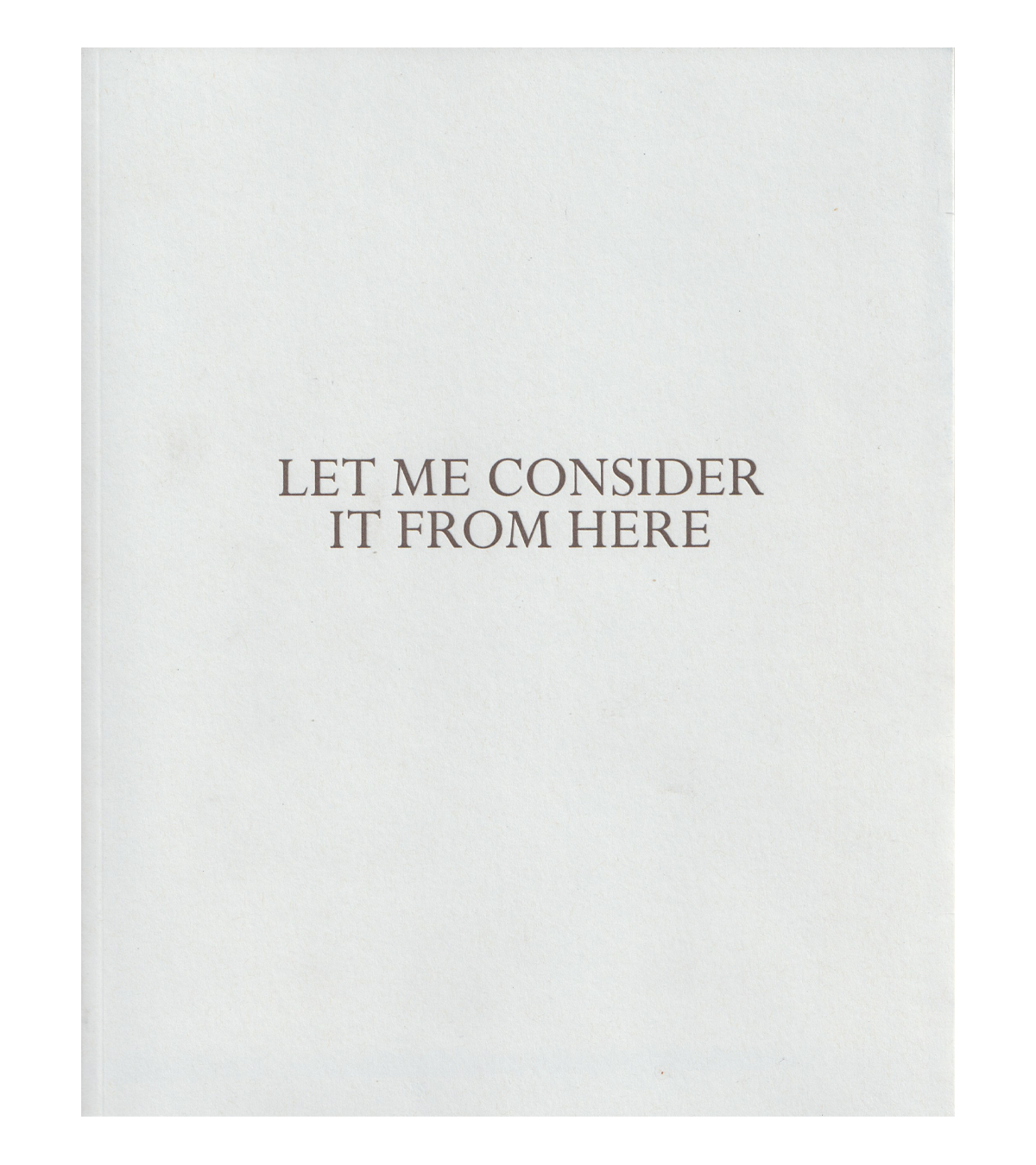 Let Me Consider It From Here (Renaissance Society, 2019)