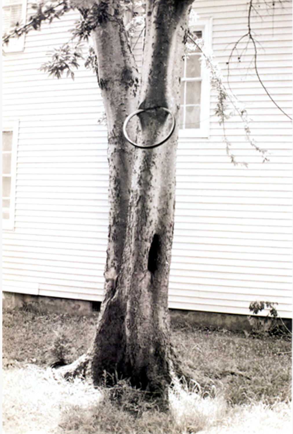 David Hammons: Selected Works (Zwirner & Wirth, 2006)