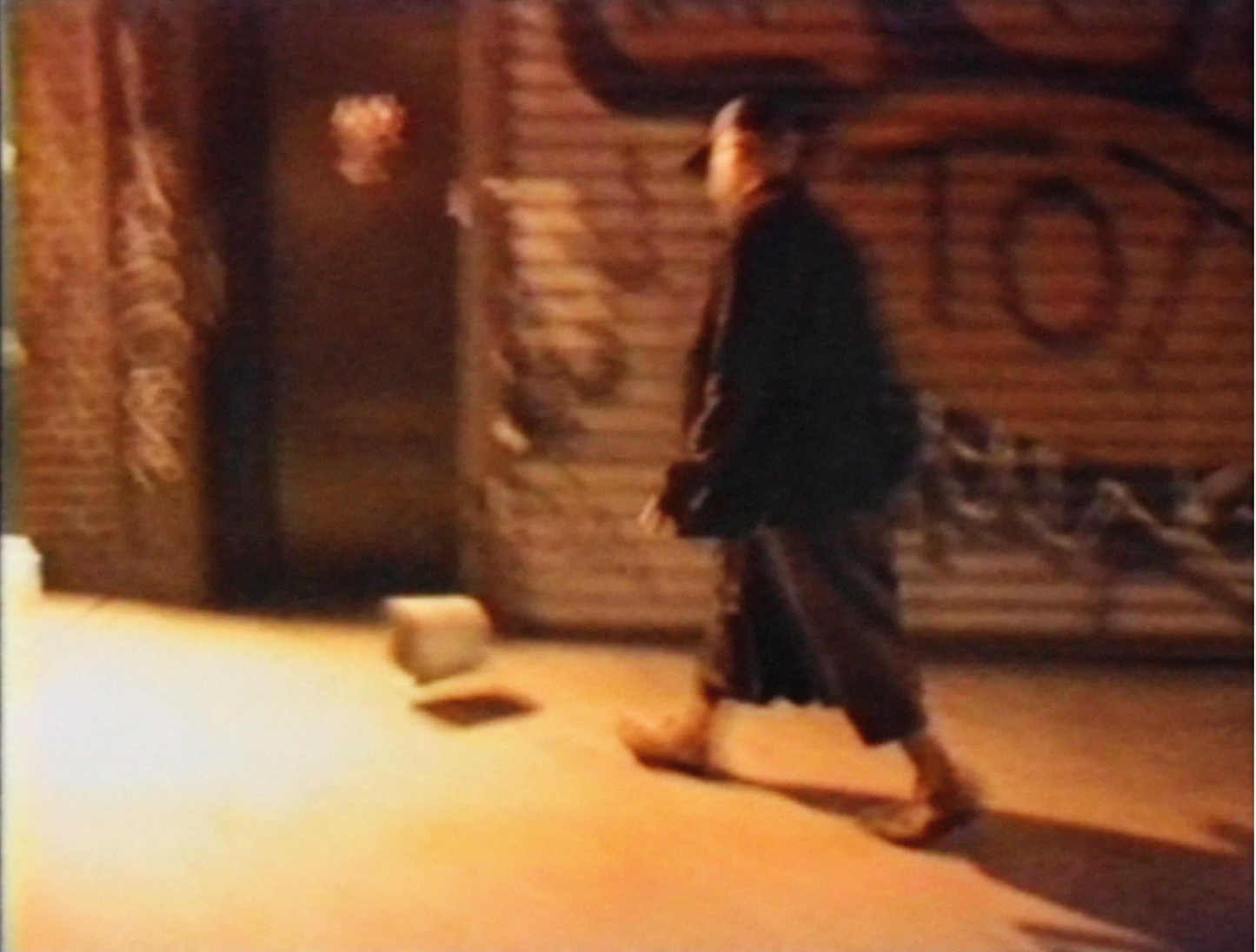 David Hammons: Selected Works (Zwirner & Wirth, 2006)