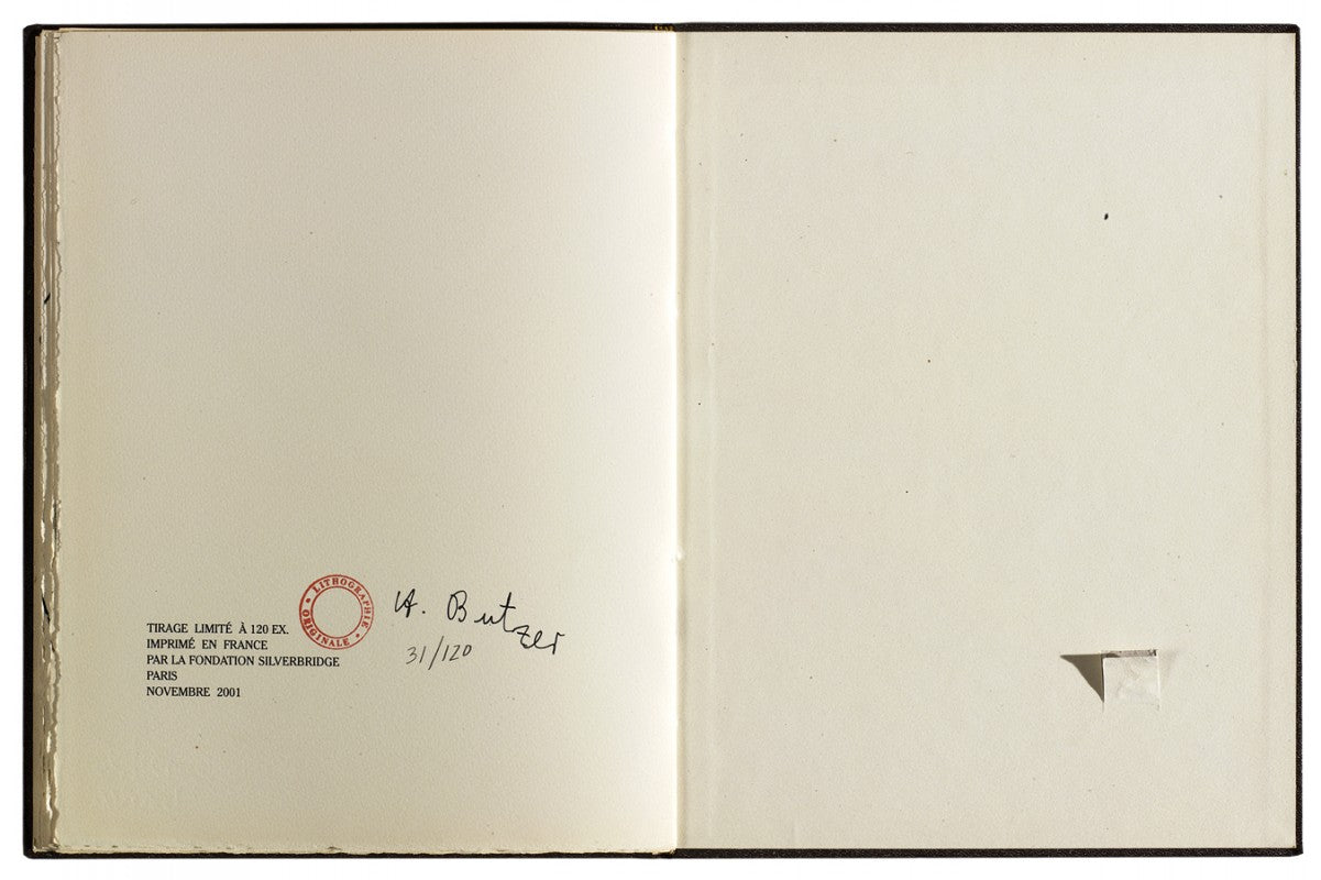 André Butzer: Wandering in Anaheim (Silverbridge, 2001)