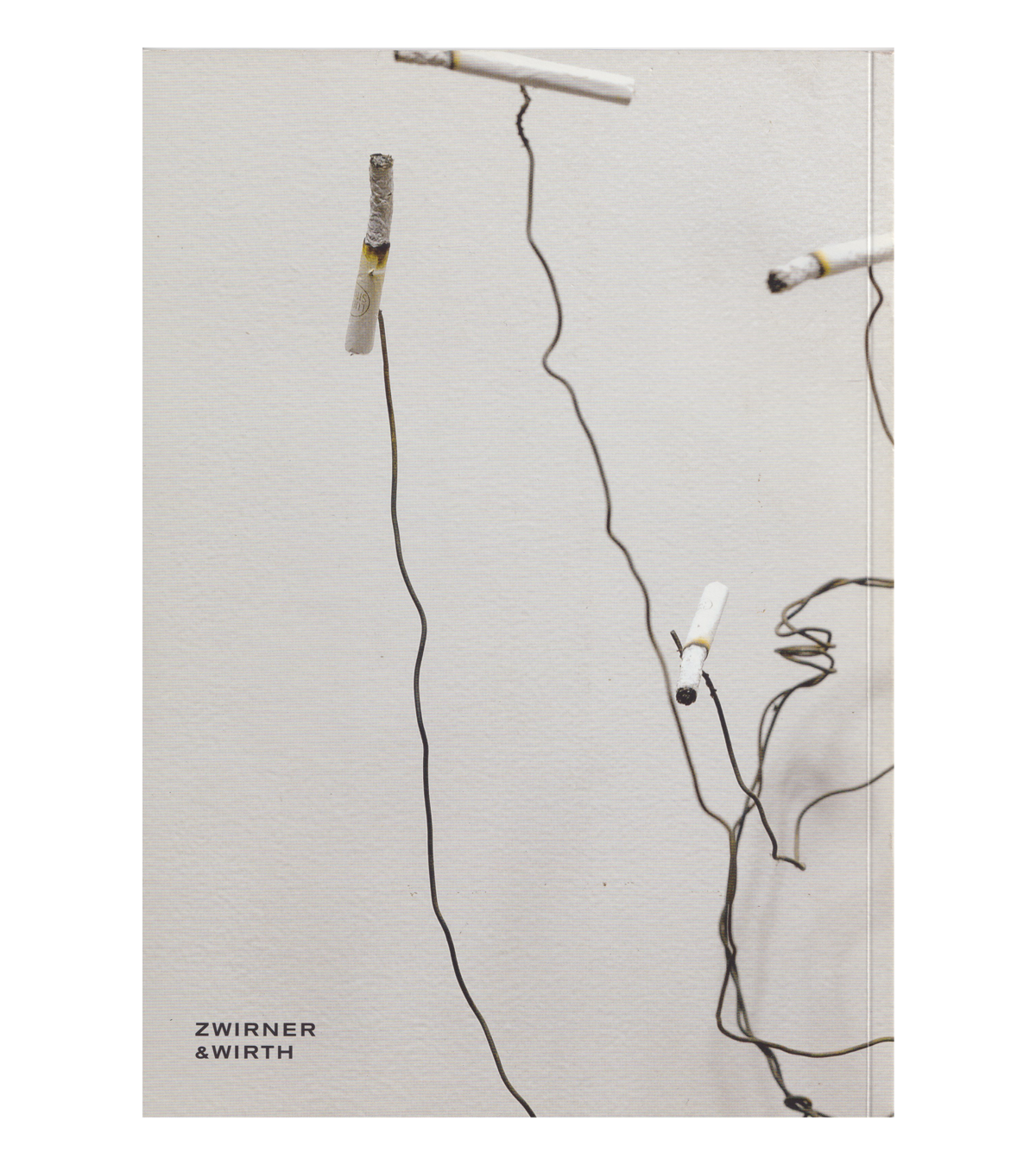 David Hammons: Selected Works (Zwirner & Wirth, 2006)