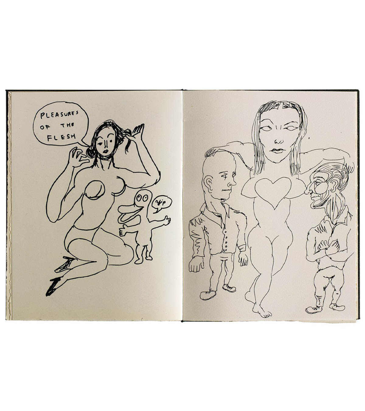 Daniel Johnston: I've Come a Long Way Just to See You (Royal Book Lodge, 2011)