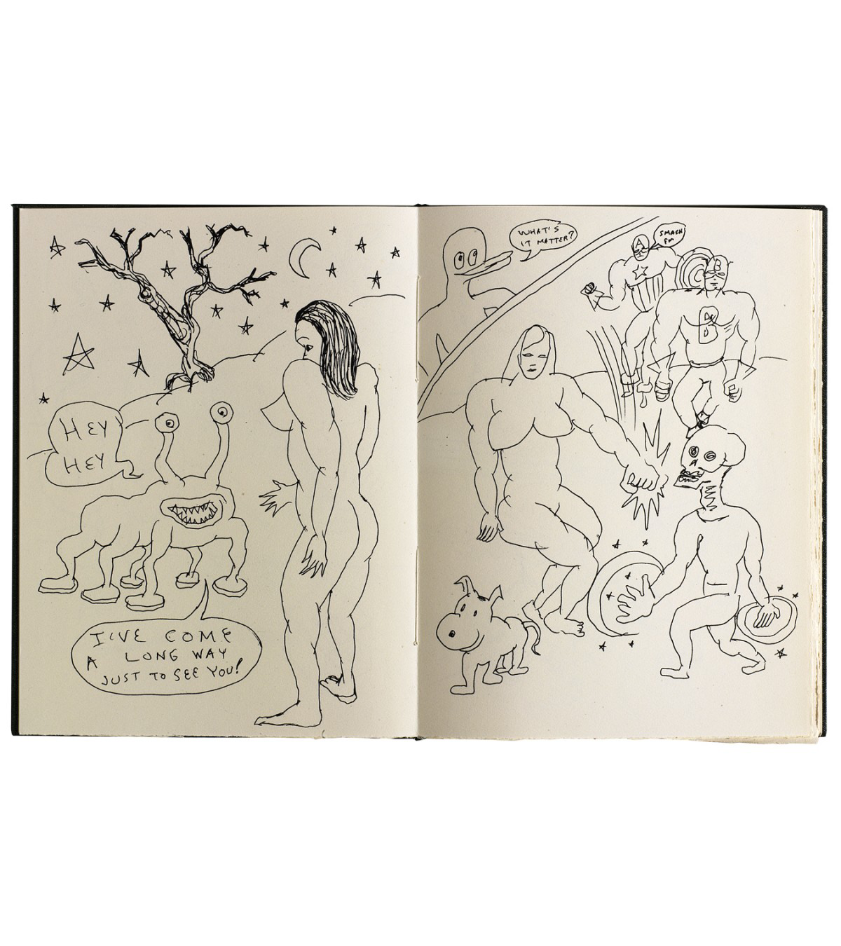 Daniel Johnston: I've Come a Long Way Just to See You (Royal Book Lodge, 2011)
