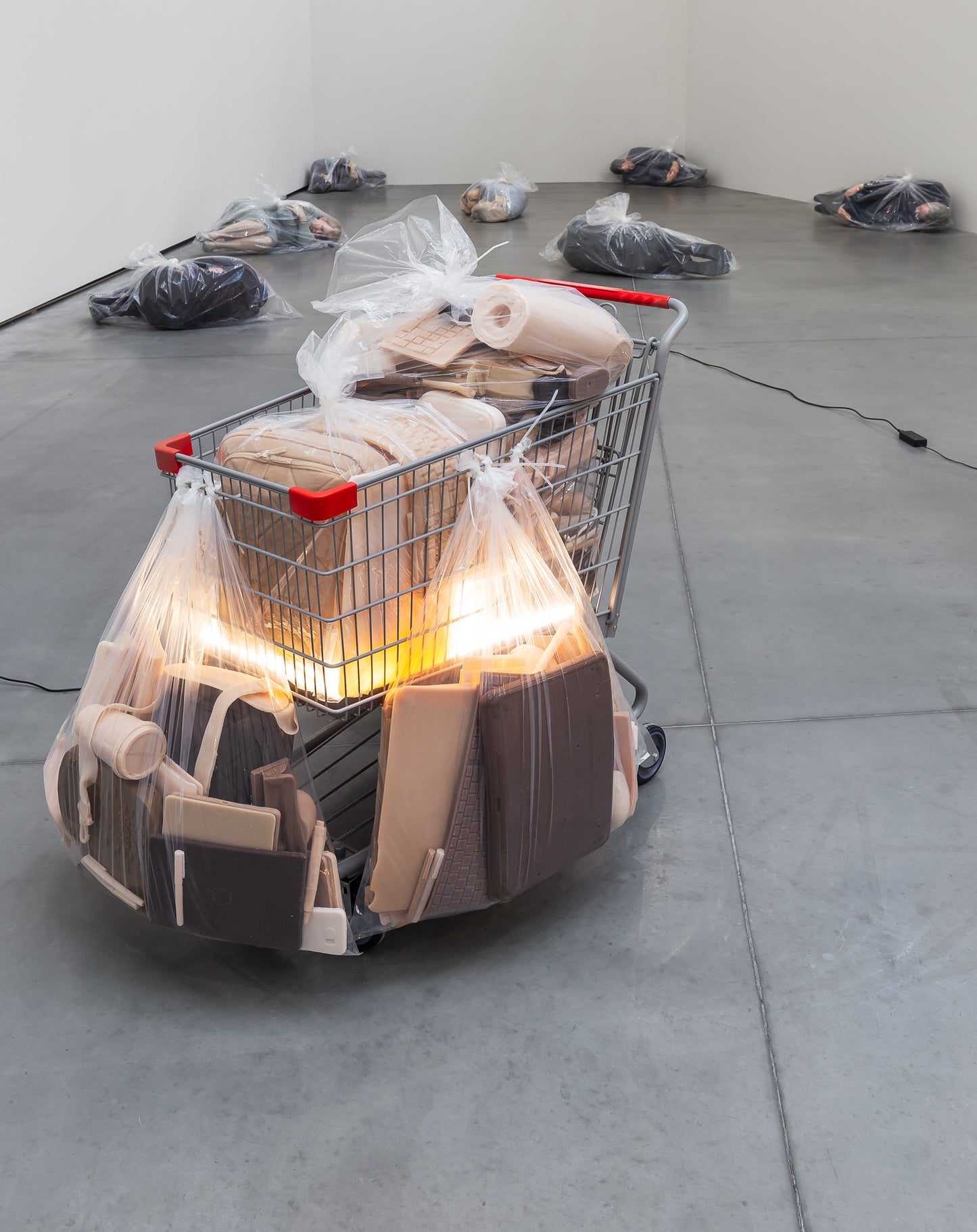 Josh Kline: Antibodies (Astrup Fearnley Museet, 2016)