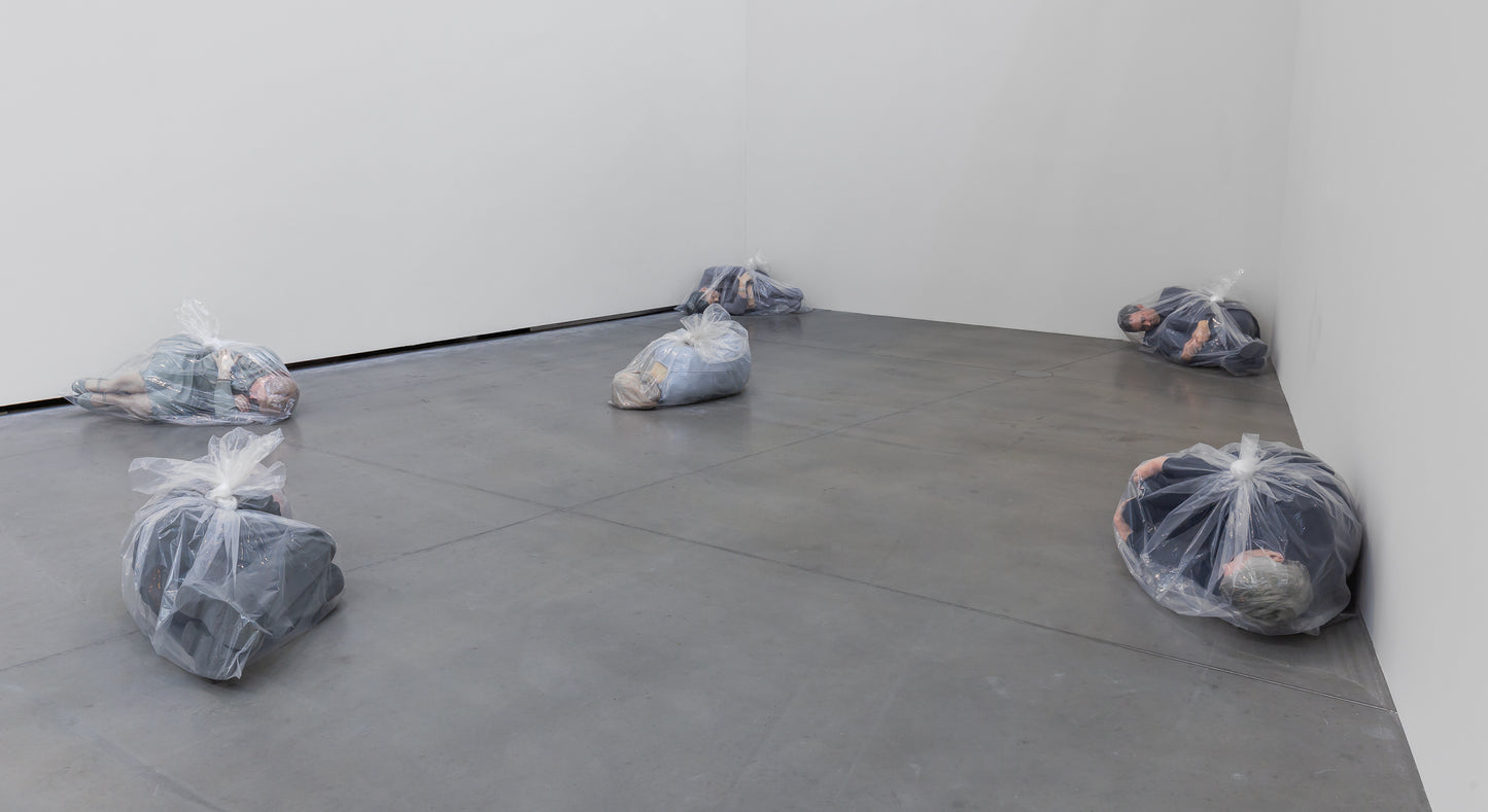 Josh Kline: Antibodies (Astrup Fearnley Museet, 2016)