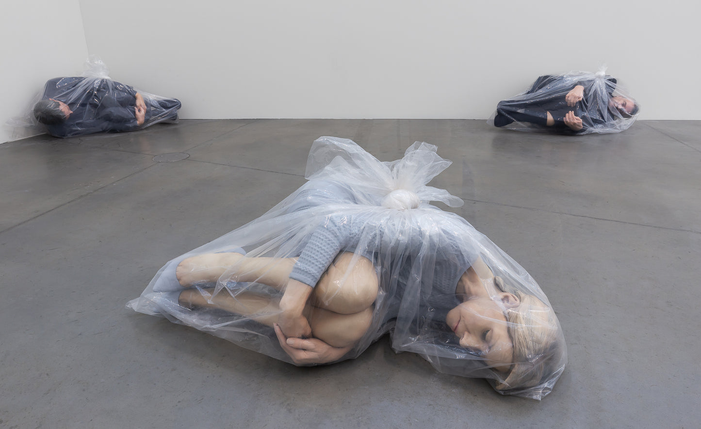 Josh Kline: Antibodies (Astrup Fearnley Museet, 2016)
