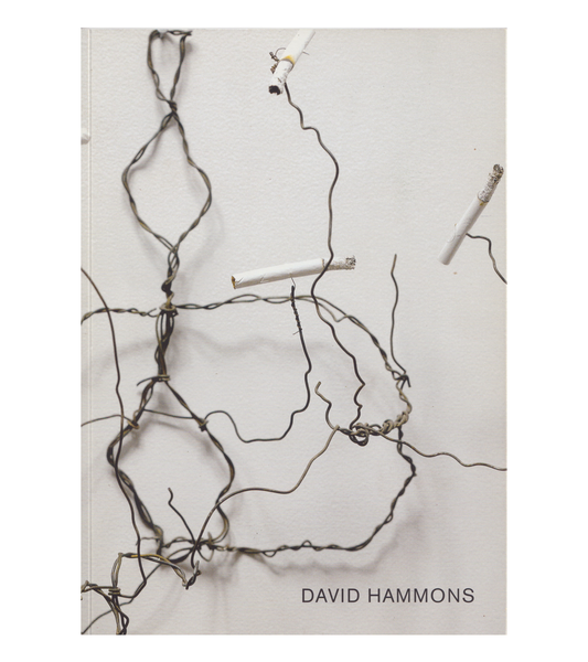 David Hammons: Selected Works (Zwirner & Wirth, 2006)